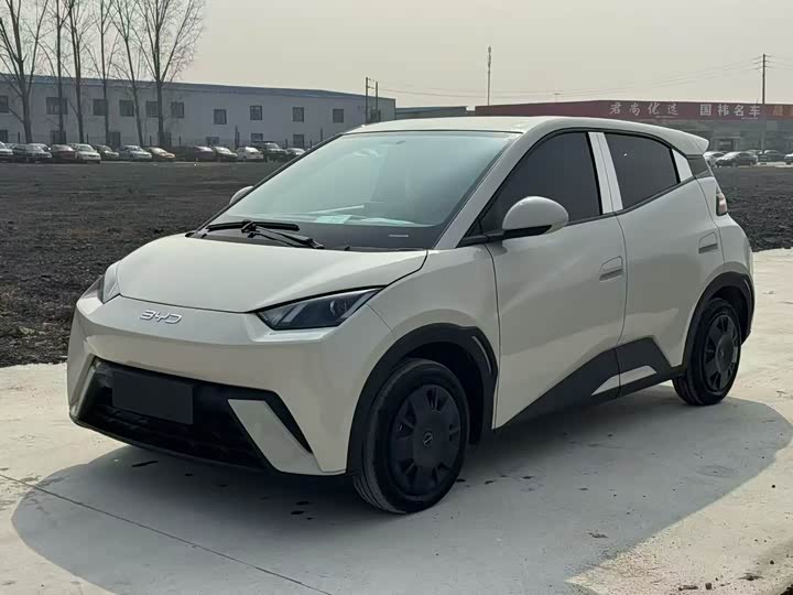 Фото 1 - BYD Seagull