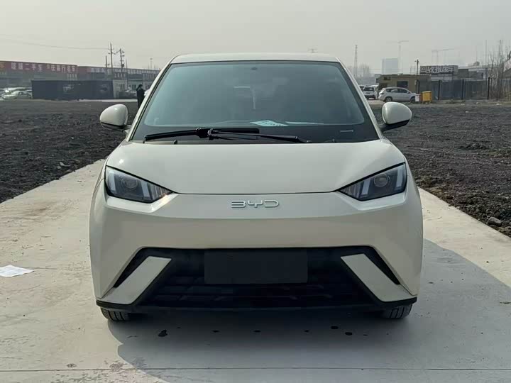 Фото 2 - BYD Seagull