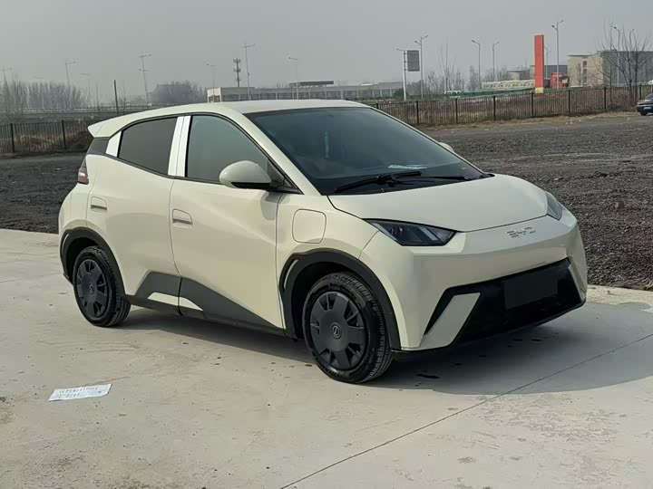 Фото 3 - BYD Seagull