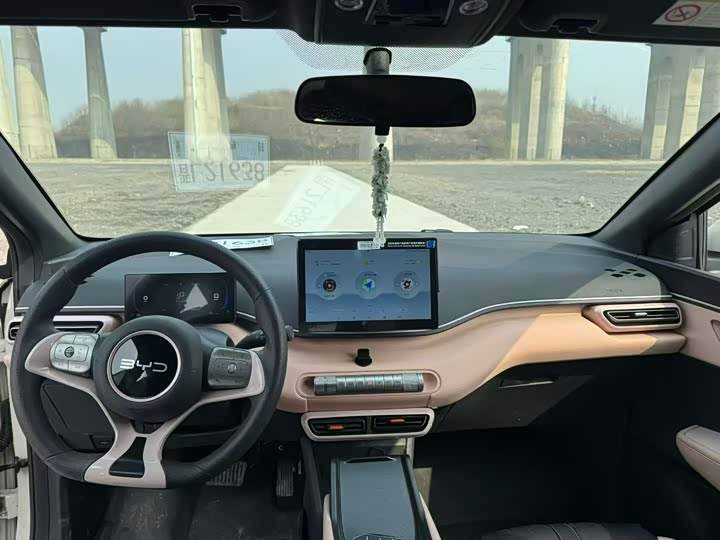 Фото 5 - BYD Seagull