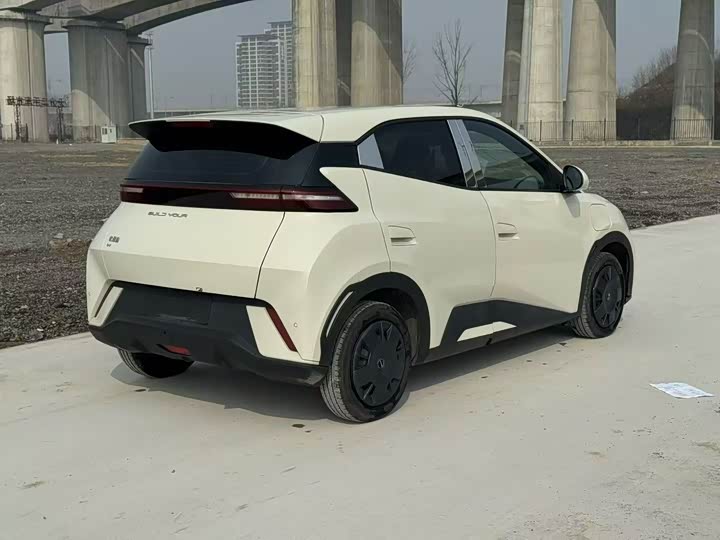 Фото 7 - BYD Seagull