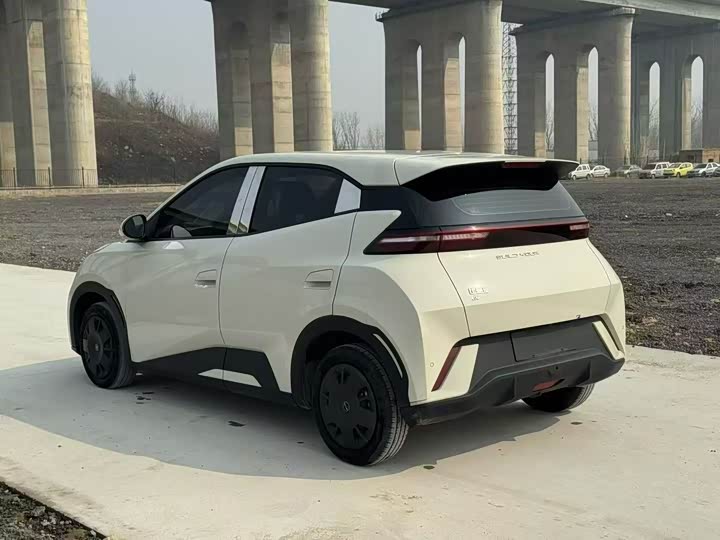 Фото 9 - BYD Seagull