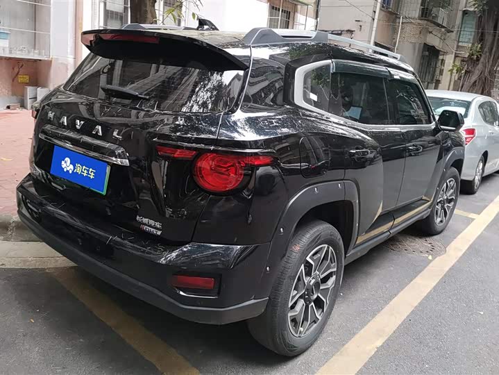Фото 3 - Haval H-Dog Hybrid