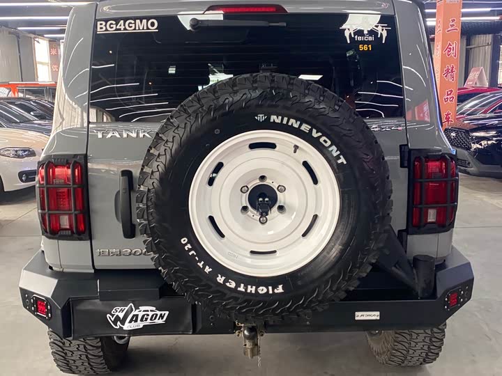 Фото 6 - Tank 300