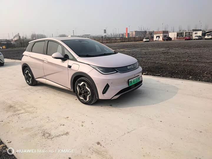 Фото 3 - BYD Dolphin