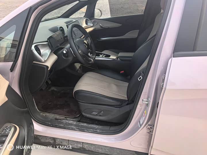 Фото 4 - BYD Dolphin