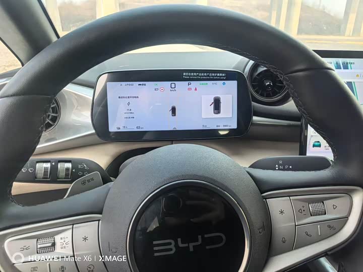 Фото 5 - BYD Dolphin