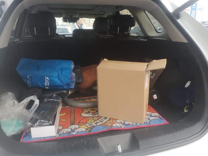 Photo 4 - Haval Ruge Max