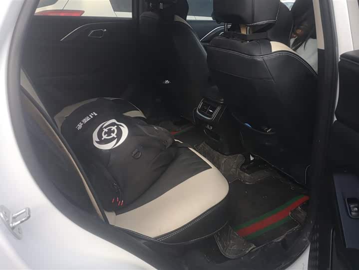 Photo 8 - Haval Ruge Max