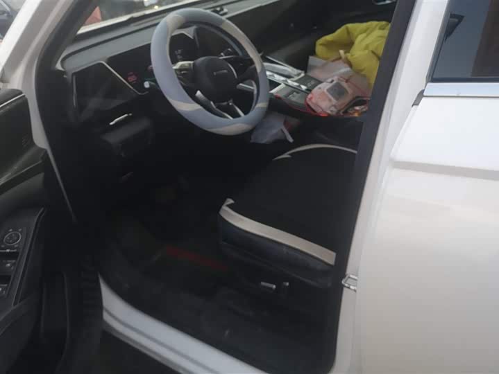 Photo 9 - Haval Ruge Max