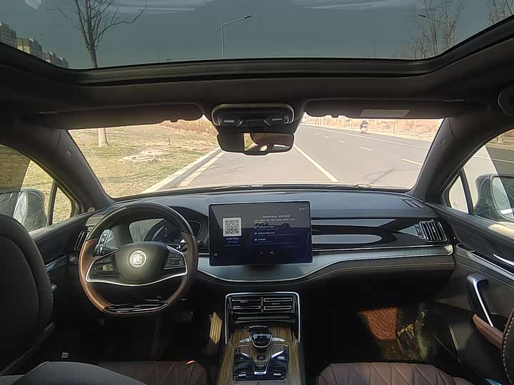 Photo 6 - BYD Tang Hybrid/EV