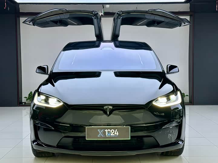 Фото 2 - Tesla Model X