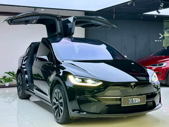 Фото 3 - Tesla Model X