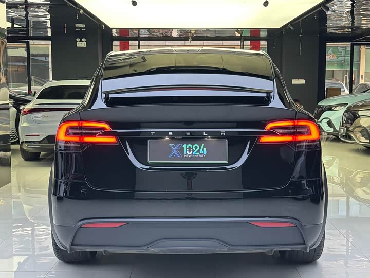 Фото 5 - Tesla Model X