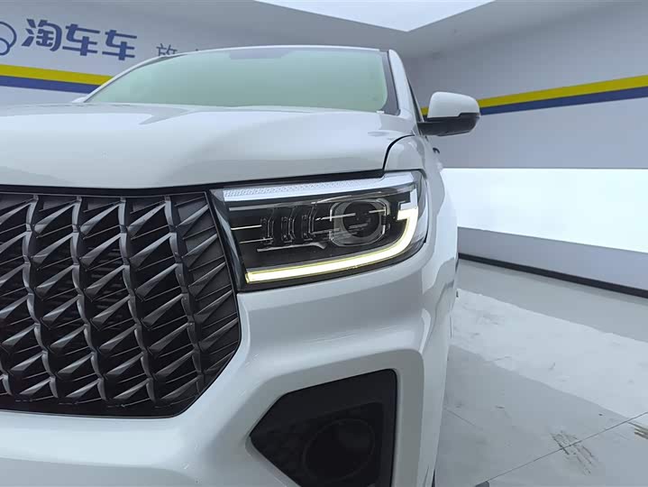 Фото 5 - Great Wall Pao