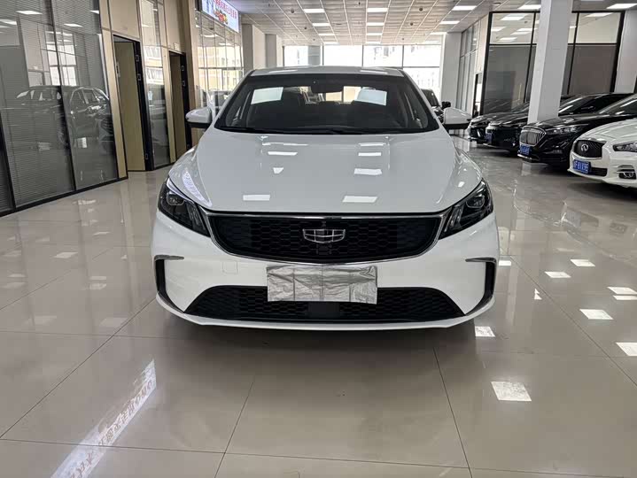 Фото 2 - Geely Binrui