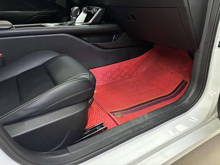 Фото 8 - Geely Binrui