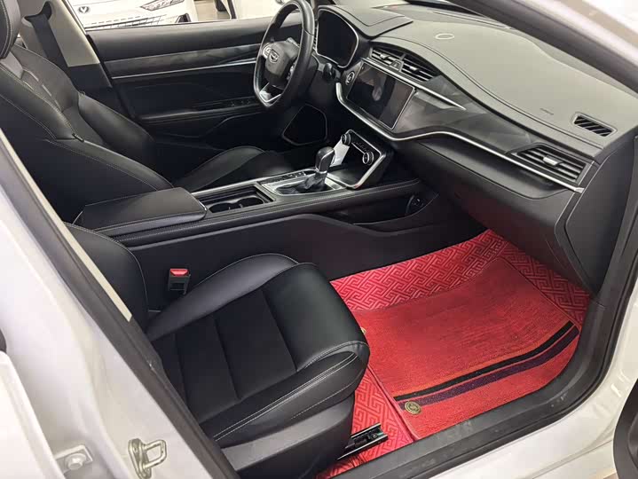 Фото 9 - Geely Binrui