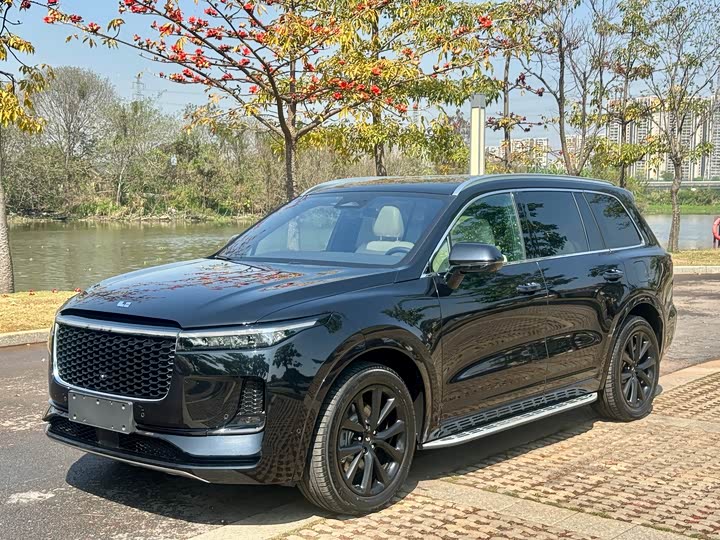 Фото 1 - LiXiang One