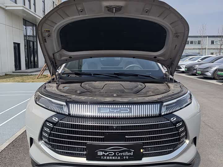 Фото 2 - BYD Frigate 07