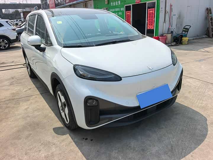 Фото 3 - BAIC Arcfox Kaola S