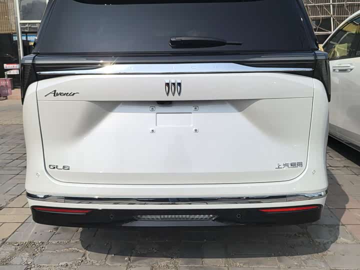 Фото 5 - Buick GL8 ES