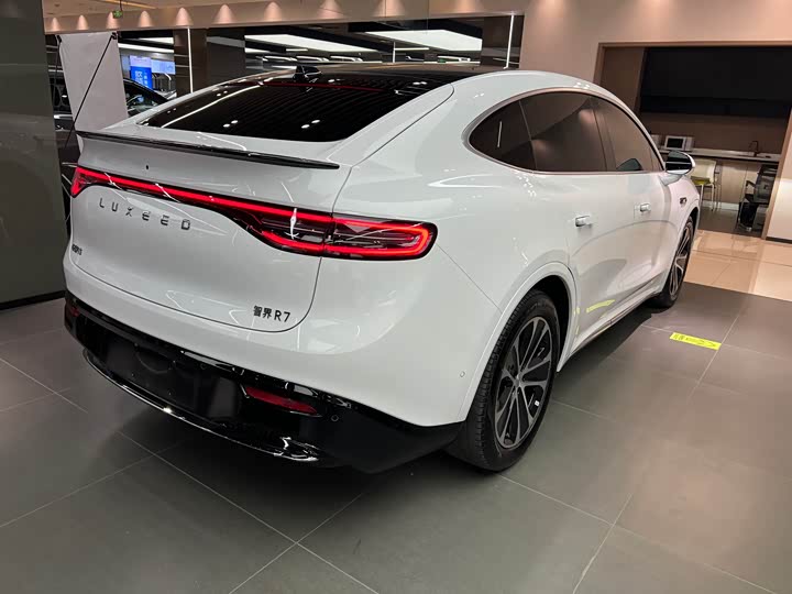Фото 5 - Luxeed R7