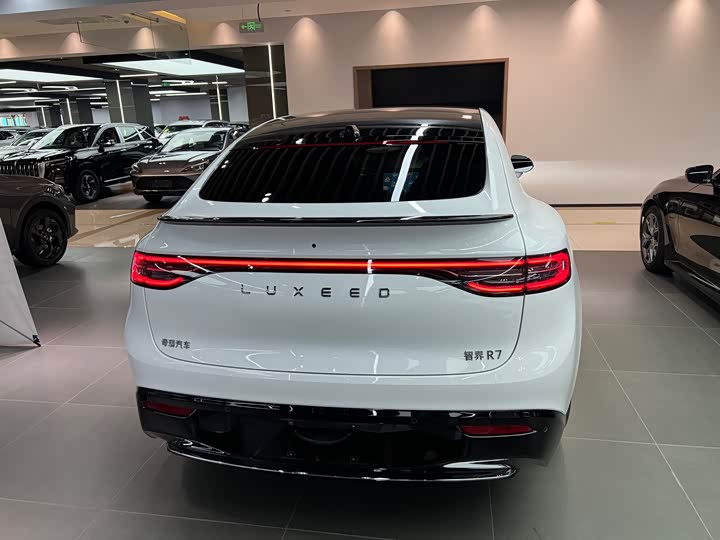 Фото 6 - Luxeed R7