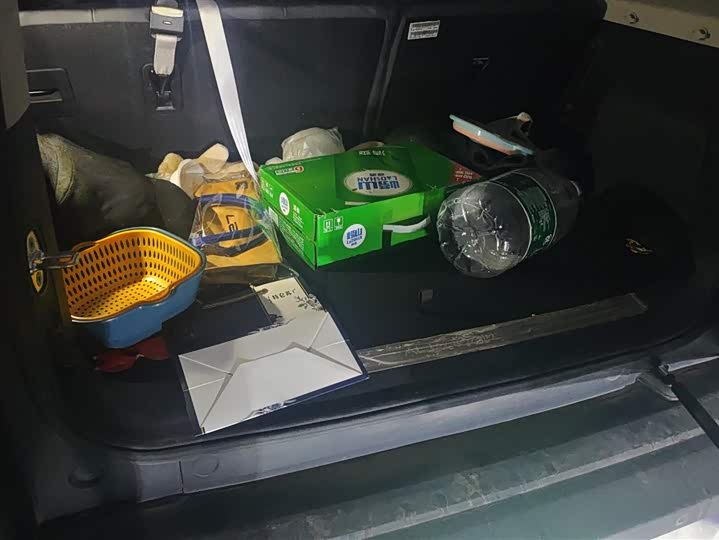 Фото 4 - Chery iCar 03