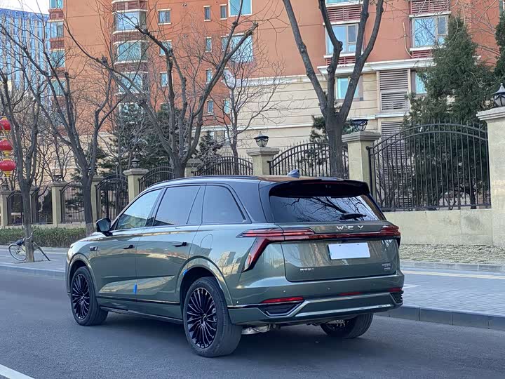 Фото 3 - Wey Lanshan