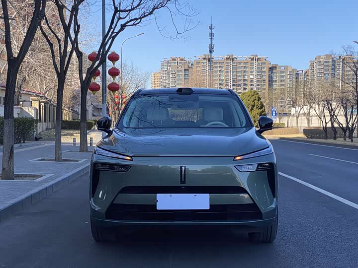 Фото 4 - Wey Lanshan