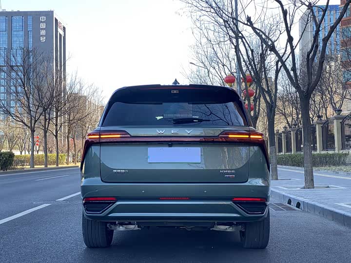 Фото 8 - Wey Lanshan