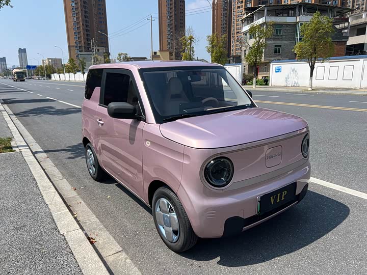 Photo 3 - Geely Galaxy Panda Mini