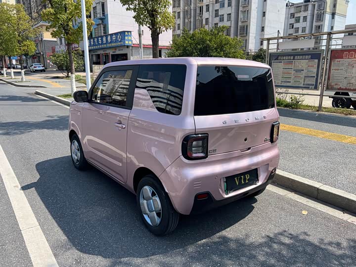 Photo 9 - Geely Galaxy Panda Mini