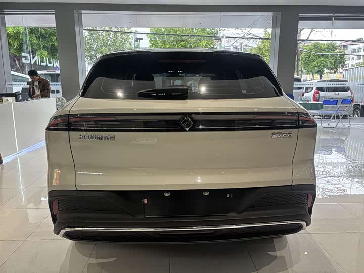 Фото 6 - Baojun E6