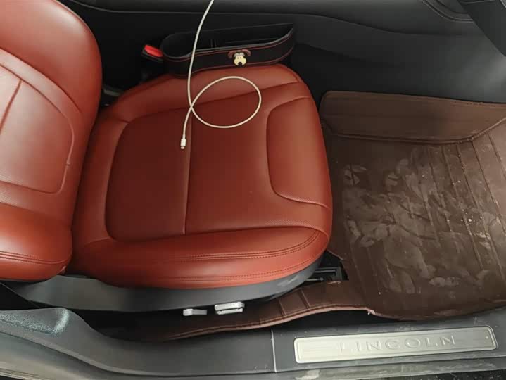 Photo 8 - Lincoln Z (Zephyr)