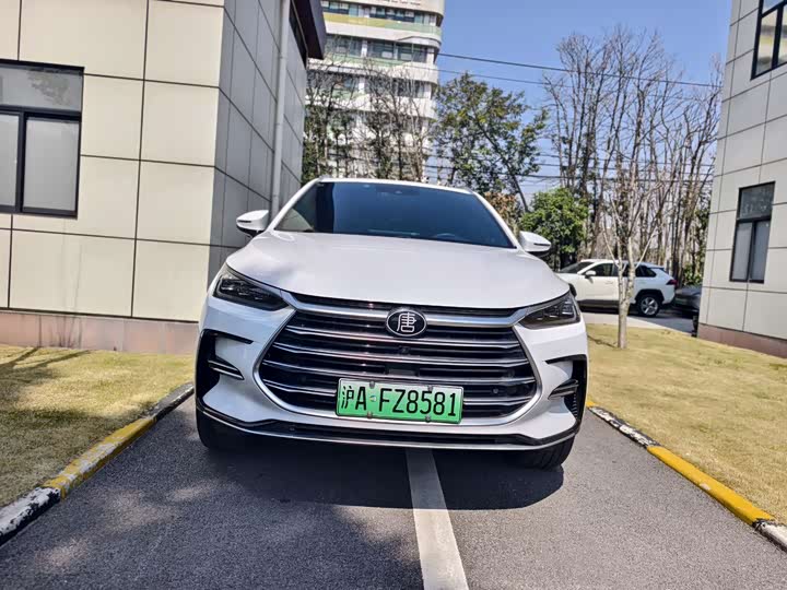 Photo 3 - BYD Tang Hybrid/EV