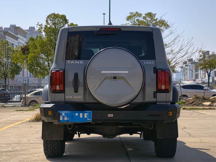 Фото 5 - Tank 300