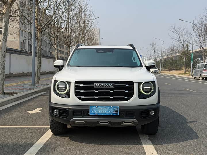 Фото 2 - Haval Dargo