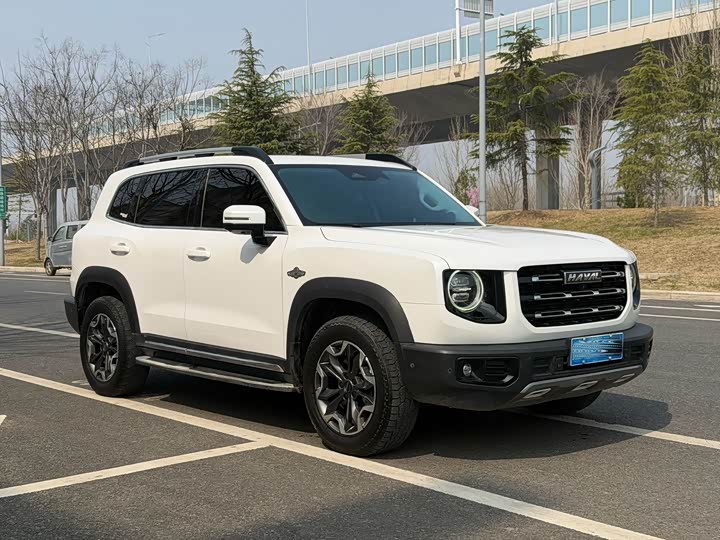 Фото 3 - Haval Dargo