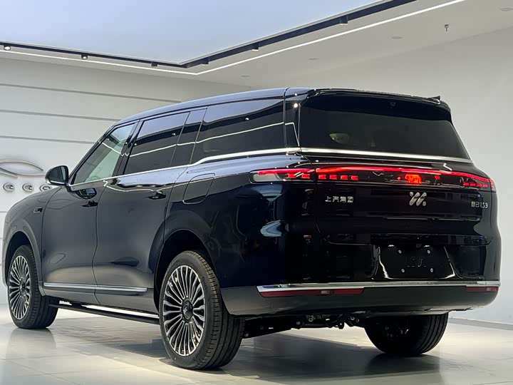 Фото 6 - IM motors LS9