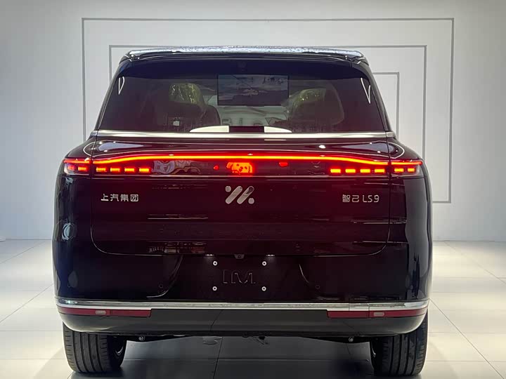 Фото 7 - IM motors LS9