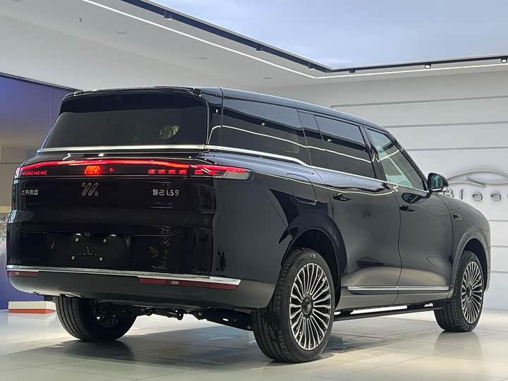 Фото 8 - IM motors LS9