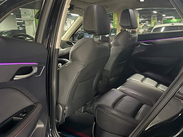 Фото 6 - Geely Tugella S