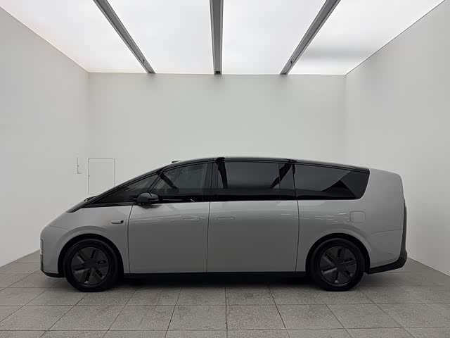 Фото 8 - LiXiang Mega