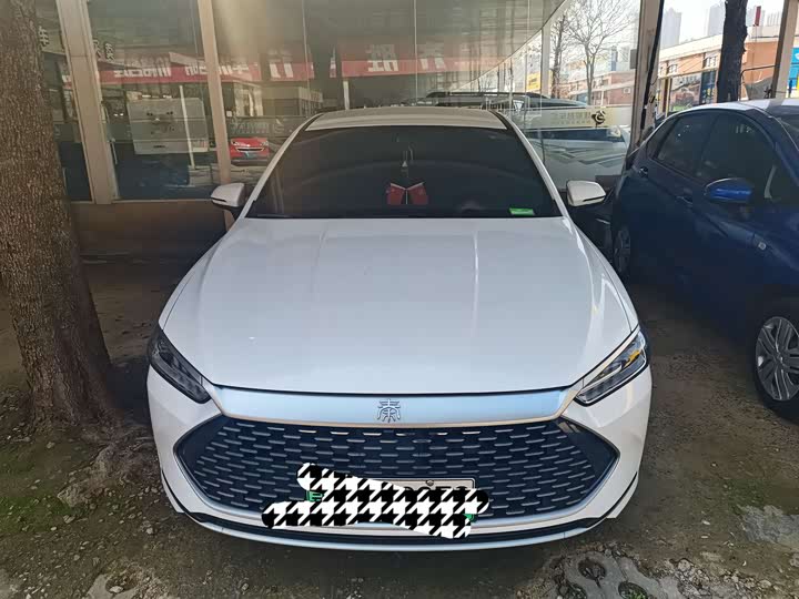 Фото 3 - BYD Qin Plus