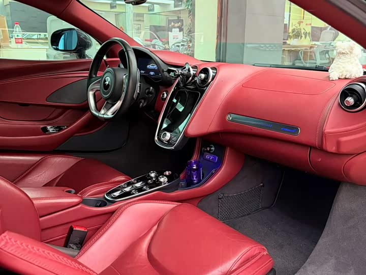 Фото 8 - McLaren GT