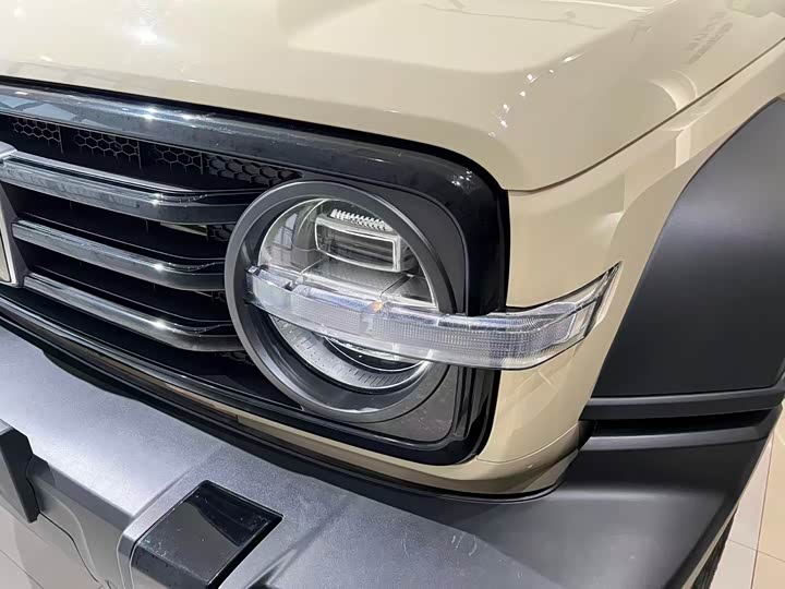 Фото 3 - Tank 300