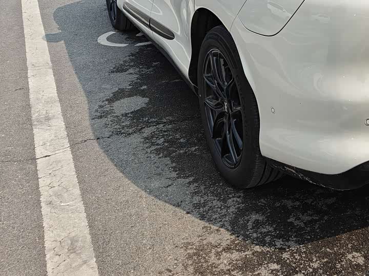 Фото 5 - IM motors LS6