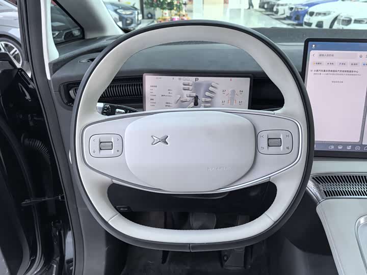 Фото 5 - XPeng X9